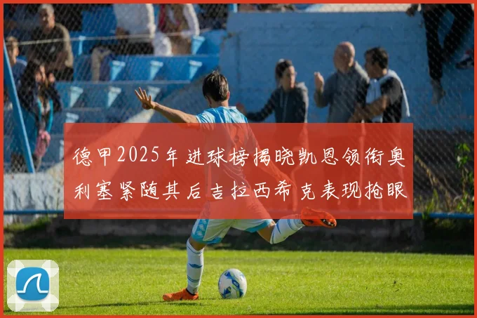 德甲2025年进球榜揭晓凯恩领衔奥利塞紧随其后吉拉西希克表现抢眼