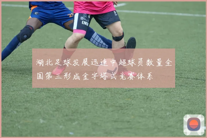 湖北足球发展迅速中超球员数量全国第三形成金字塔式竞赛体系