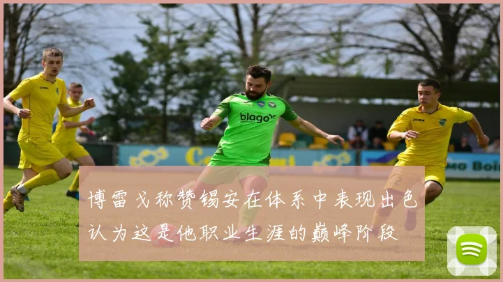 博雷戈称赞锡安在体系中表现出色认为这是他职业生涯的巅峰阶段